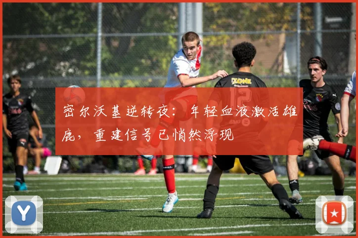密尔沃基逆转夜:年轻血液激活雄鹿,重建信号已悄然浮现