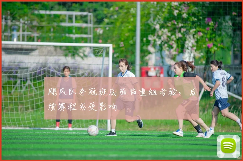 飓风队夺冠班底面临重组考验,后续赛程或受影响
