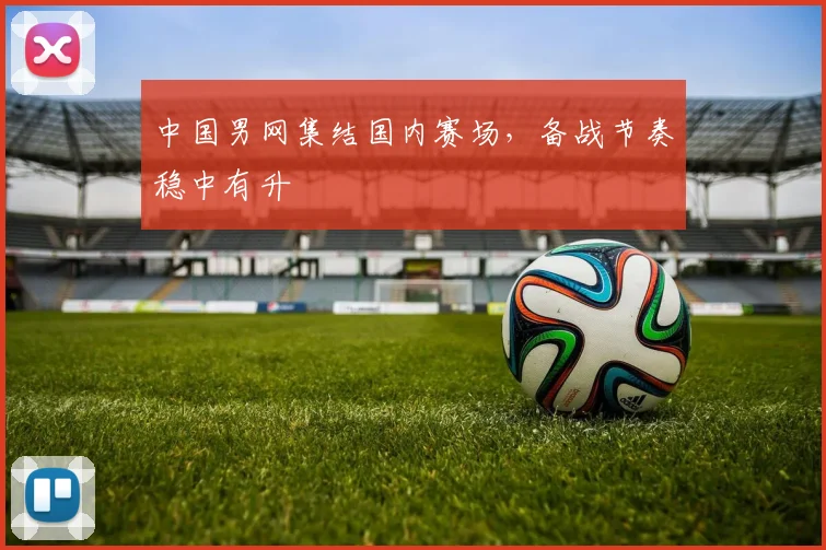 中国男网集结国内赛场，备战节奏稳中有升