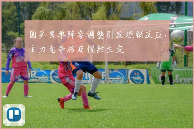 国乒男单阵容调整引发连锁反应,主力竞争格局悄然生变